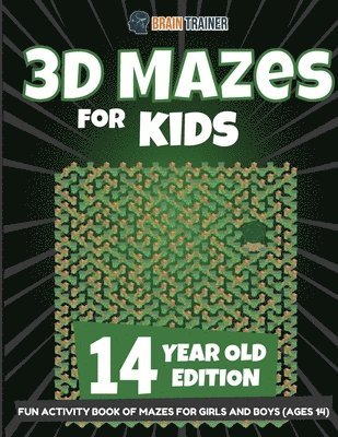 bokomslag 3D Mazes for Kids 14 Year Old Edition - Fun Activity Book of Mazes for Girls and Boys (Ages 14)