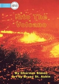 bokomslag Into The Volcano