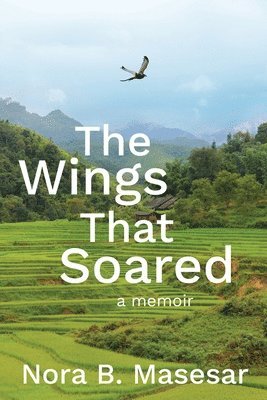 bokomslag Wings that Soared