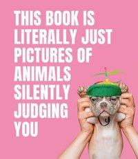 bokomslag This Book is Literally Just Pictures of Animals Silently Judging You
