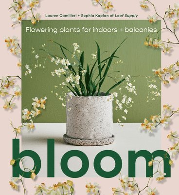 Bloom 1