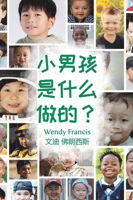 What are little boys made of? (Chinese Language Edition) 1