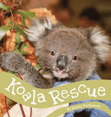 bokomslag Koala Rescue