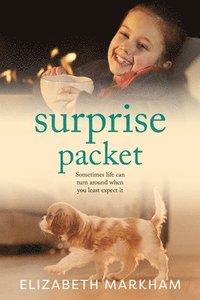 bokomslag Surprise Packet