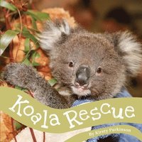 bokomslag Koala Rescue