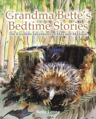 bokomslag Grandma Bette's Bedtime Stories