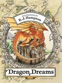 bokomslag Dragon Dreams Coloring Book