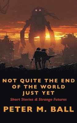 Peter M Ball - Not Quite The End Of The World Just Yet, Häftad
