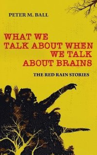 bokomslag What We Talk About When We Talk About Brains