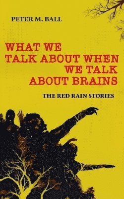 Peter M Ball - What We Talk About When We Talk About Brains, Häftad