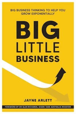 bokomslag Big Little Business