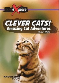 bokomslag Clever Cats!: Amazing Cat Adventures