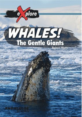 bokomslag Whales!