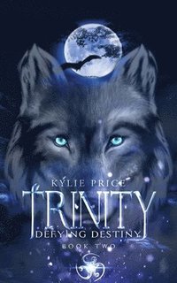 bokomslag Trinity - Defying Destiny