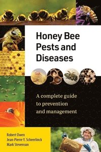 bokomslag Honey Bee Pests and Diseases