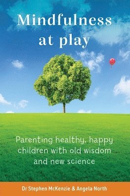 Mindfulness at Play 1