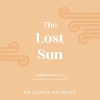bokomslag The Lost Sun