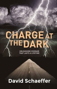 bokomslag Charge at the Dark