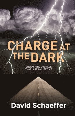 Charge at the Dark