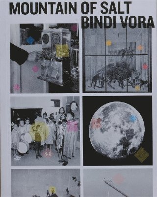 Bindi Vora - Mountain of Salt, Häftad