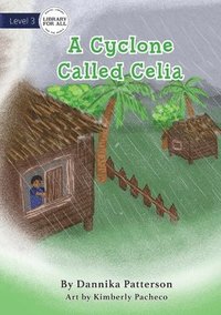 bokomslag A Cyclone Called Celia