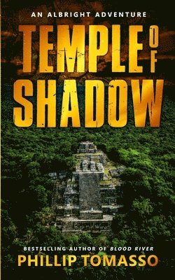 bokomslag Temple Of Shadow