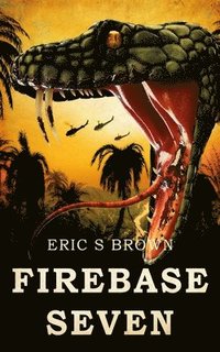 bokomslag Firebase Seven