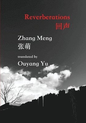 Zhang Meng - Reverberations, Häftad