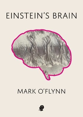 Einstein's Brain 1