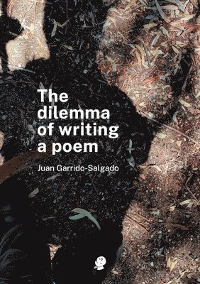 The Dilemma of Writing a Poem
