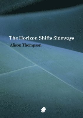 Alison Thompson - The Horizon Shifts Sideways, Häftad