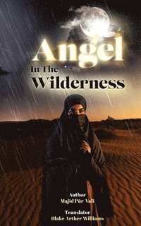 bokomslag Angel in the Wilderness