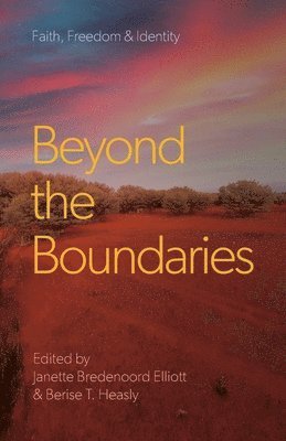 bokomslag Beyond the Boundaries
