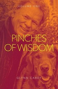 bokomslag Pinches of Wisdom Vol 1