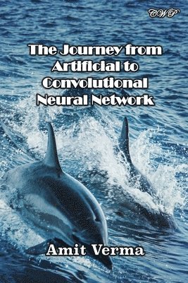 The Journey from Artificial to Convolutional Neural Network 1