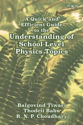 bokomslag A Quick and Efficient Guide to the Understanding of School-Level Physics Topics