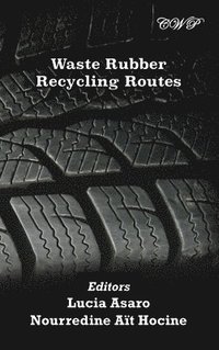 bokomslag Waste Rubber Recycling Routes