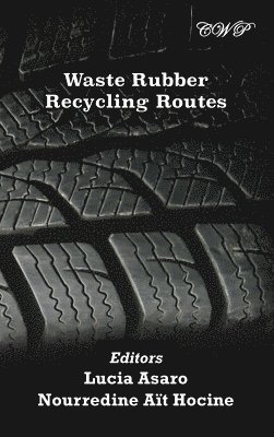 Waste Rubber Recycling Routes 1