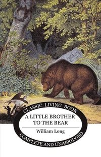 bokomslag Little Brother to the Bear