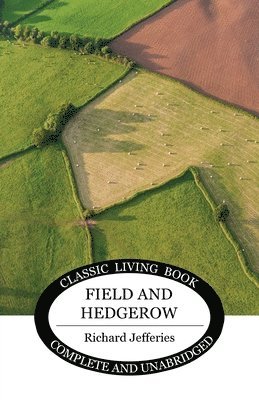Field and Hedgerow 1