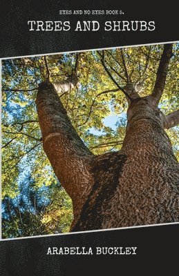 bokomslag Trees and Shrubs