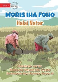 bokomslag Living In The Village - Rice Cultivation - Moris iha Foho - Halai Natar