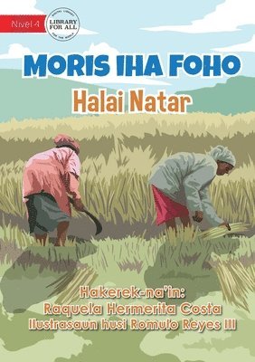 bokomslag Living In The Village - Rice Cultivation - Moris iha Foho - Halai Natar