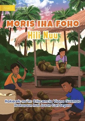 Living in the Village - Harvesting Coconuts - Moris Iha Foho - Hili Nuu 1