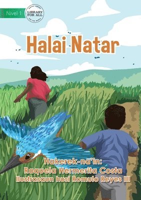 Rice Cultivation - Halai Natar 1