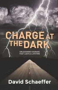 bokomslag Charge at the Dark