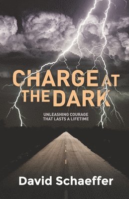 David Schaeffer - Charge at the Dark, Häftad