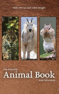 bokomslag The Burgess Animal Book with new color images