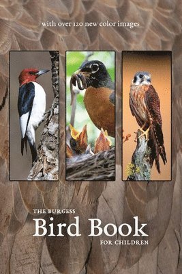 bokomslag The Burgess Bird Book with new color images