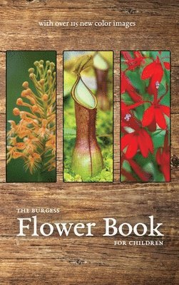 bokomslag The Burgess Flower Book with new color images